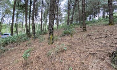 TERRENO EN VENTA SECTOR TARQUI