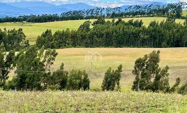 TERRENO AGRICOLA EN VENTA TABACUNDO