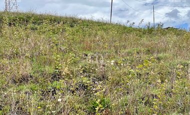 TERRENO AGRICOLA EN VENTA TABACUNDO