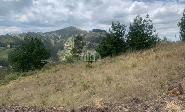 TERRENO EN   VENTA  SECTOR TURI EN CUENCA