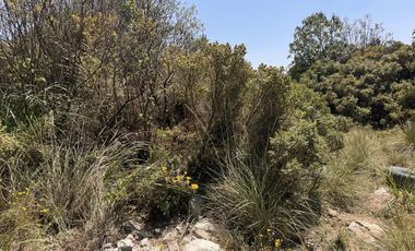 Terreno en  venta en la Marquesa