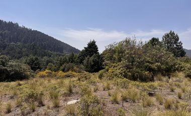 Terreno en  venta en la Marquesa