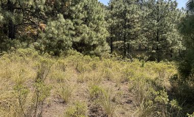 Terreno en  venta en la Marquesa