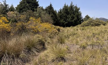 Terreno en  venta en la Marquesa