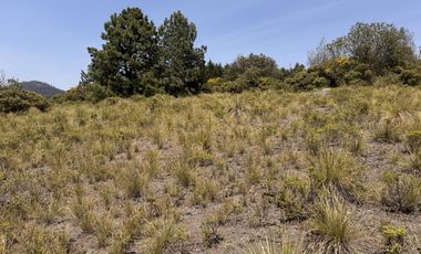 Terreno en  venta en la Marquesa