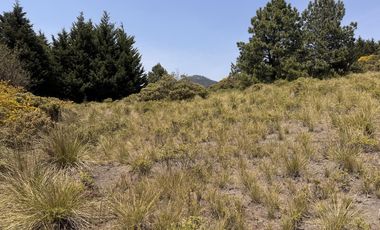 Terreno en  venta en la Marquesa
