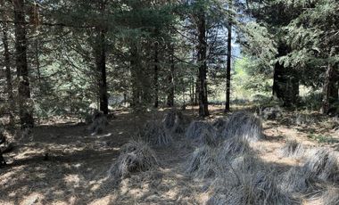 Terreno en  venta en la Marquesa