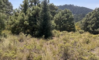 Terreno en  venta en la Marquesa