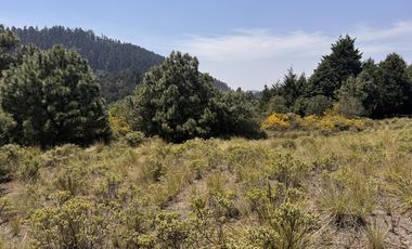 Terreno en  venta en la Marquesa