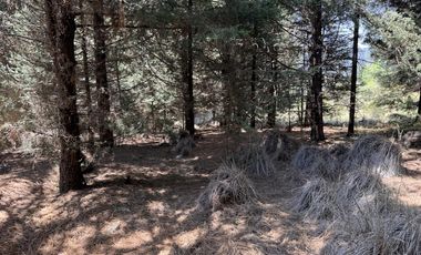 Terreno en  venta en la Marquesa