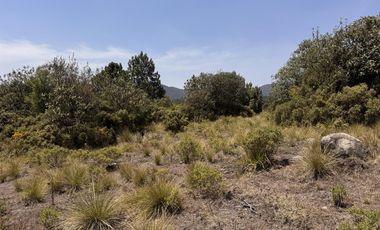 Terreno en  venta en la Marquesa