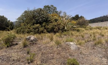 Terreno en  venta en la Marquesa