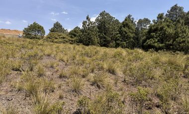 Terreno en  venta en la Marquesa