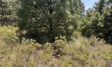 Terreno en  venta en la Marquesa