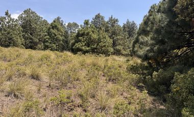 Terreno en  venta en la Marquesa