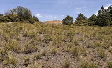 Terreno en  venta en la Marquesa
