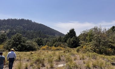 Terreno en  venta en la Marquesa
