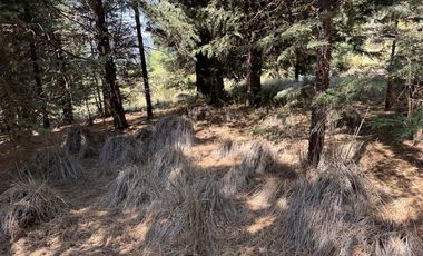 Terreno en  venta en la Marquesa