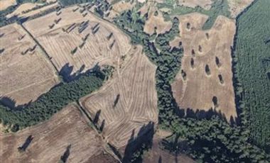 Agrícola en Venta en plaza trupan