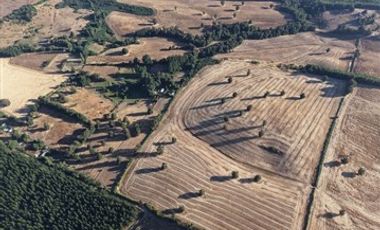 Agrícola en Venta en plaza trupan