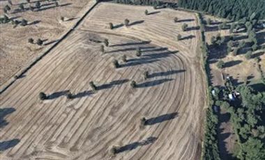 Agrícola en Venta en plaza trupan