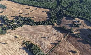 Agrícola en Venta en plaza trupan