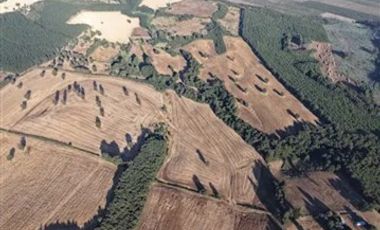 Agrícola en Venta en plaza trupan
