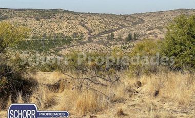 Sitio en Venta en Sitio Lomas de Rauquen, Pencahue