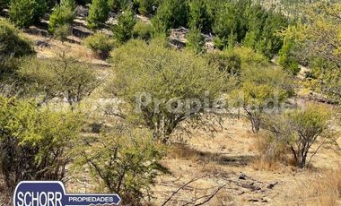 Sitio en Venta en Sitio Lomas de Rauquen, Pencahue