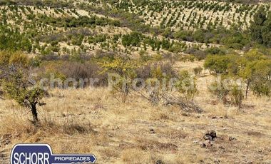 Sitio en Venta en Sitio Lomas de Rauquen, Pencahue