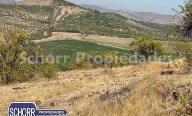 Sitio en Venta en Sitio Lomas de Rauquen, Pencahue