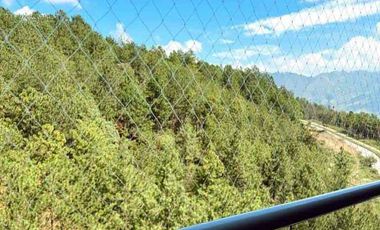 APARTAMENTO en VENTA en Bello Amazonia Bosque Alto Bello