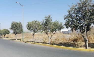 TERRENO EN RENTA, ZUMPANGO: SUPER UBICACIÓN, EN ESQUINA, PLANO Y SIN ARBOLES