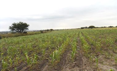 RANCHO CON CASA Y CABALLERIZAS EN VENTA, HUICHAPAN HIDALGO