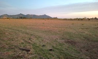 PROPIEDAD AGRÍCOLA EN VENTA, CAMPO DE 77 HA, RIO CLARO