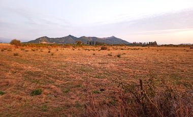 PROPIEDAD AGRÍCOLA EN VENTA, CAMPO DE 77 HA, RIO CLARO