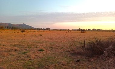 PROPIEDAD AGRÍCOLA EN VENTA, CAMPO DE 77 HA, RIO CLARO