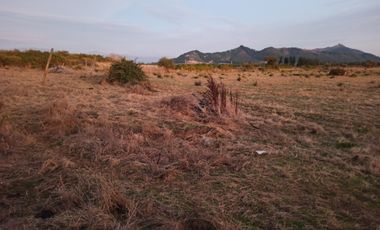 PROPIEDAD AGRÍCOLA EN VENTA, CAMPO DE 77 HA, RIO CLARO