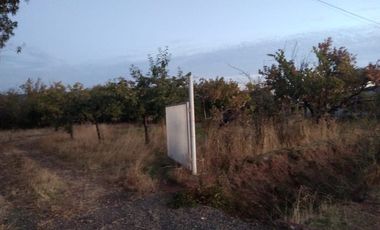 PROPIEDAD AGRÍCOLA EN VENTA, CAMPO DE 77 HA, RIO CLARO