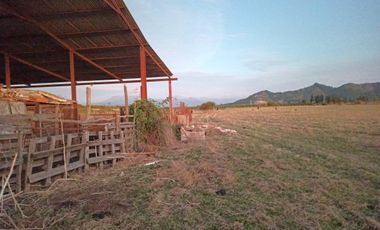 PROPIEDAD AGRÍCOLA EN VENTA, CAMPO DE 31,3 HA, RIO CLARO