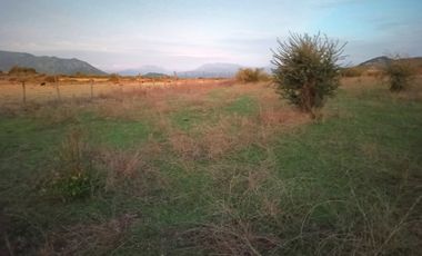 PROPIEDAD AGRÍCOLA EN VENTA, CAMPO DE 31,3 HA, RIO CLARO