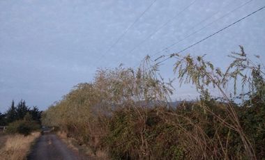 PROPIEDAD AGRÍCOLA EN VENTA, CAMPO DE 31,3 HA, RIO CLARO