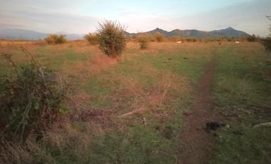 PROPIEDAD AGRÍCOLA EN VENTA, CAMPO DE 31,3 HA, RIO CLARO