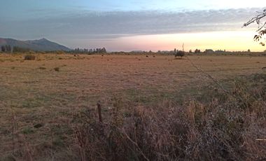 PROPIEDAD AGRÍCOLA EN VENTA, CAMPO DE 31,3 HA, RIO CLARO