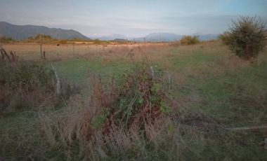 PROPIEDAD AGRÍCOLA EN VENTA, CAMPO DE 31,3 HA, RIO CLARO