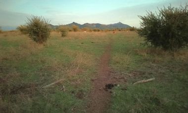 PROPIEDAD AGRÍCOLA EN VENTA, CAMPO DE 31,3 HA, RIO CLARO