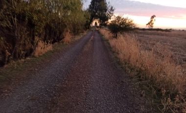 PROPIEDAD AGRÍCOLA EN VENTA, CAMPO DE 31,3 HA, RIO CLARO