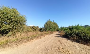 TERRENO CAMPO AGRÍCOLA EN VENTA, CAMPO  80 HA SAN CLEMENTE