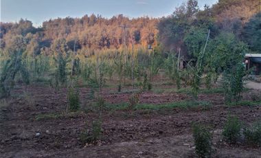 TERRENO CAMPO AGRÍCOLA EN VENTA, CAMPO  80 HA SAN CLEMENTE