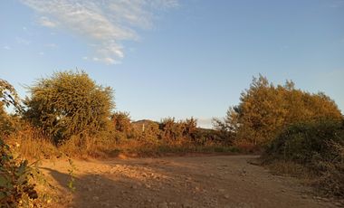 TERRENO CAMPO AGRÍCOLA EN VENTA, CAMPO  80 HA SAN CLEMENTE